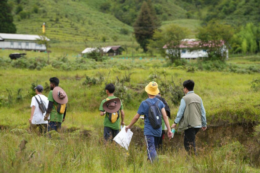Butterfly Species Discovered: High-Altitude Butterfly and Biodiversity Meet