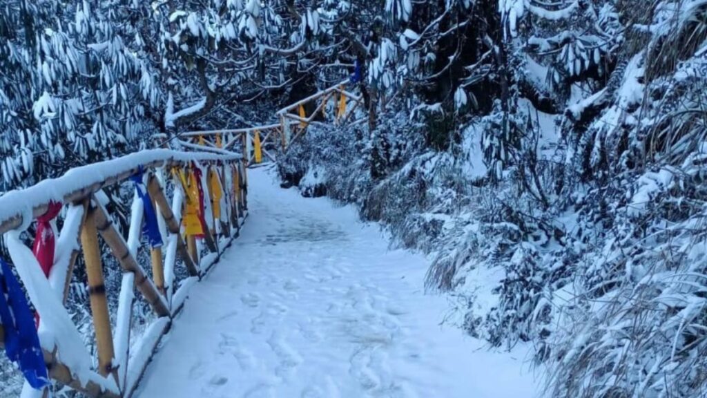Snowfall in Bhaleydhunga