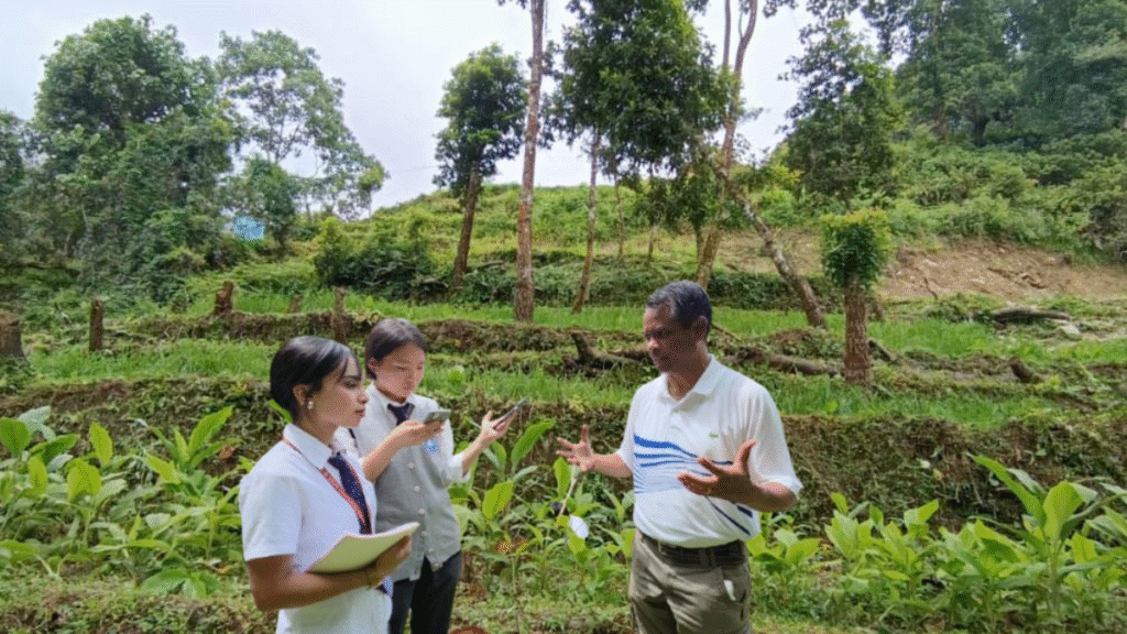 Friday Field Day Mission