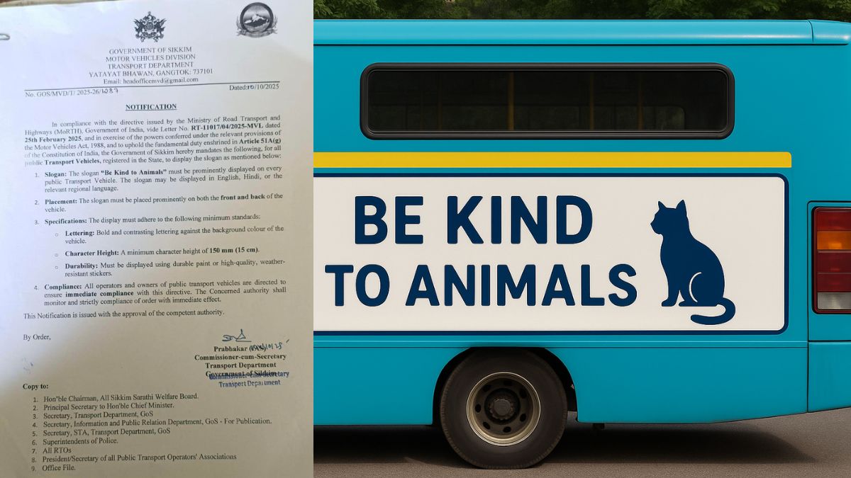 Be Kind to Animals